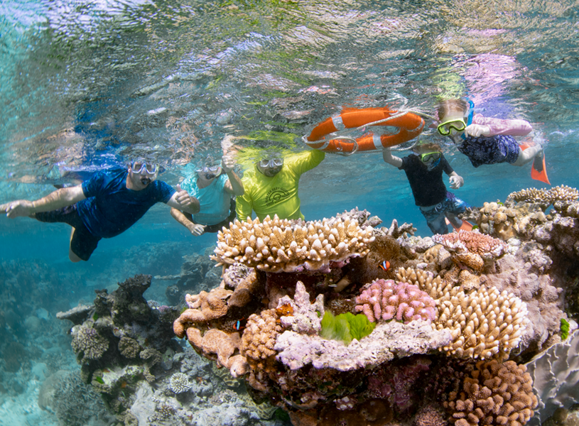 Dreamtime dive by the coral reef in Cairns, Great barrier reef, Australia