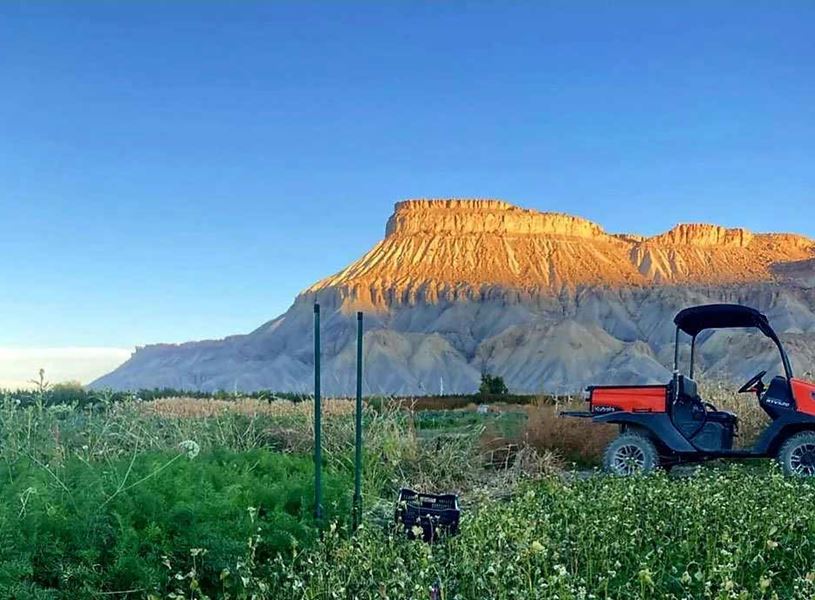 eld to Fork Farm meet-and-greet experience. Meet the owners of an organic fruit and vegetable farm in Vail, Colorado