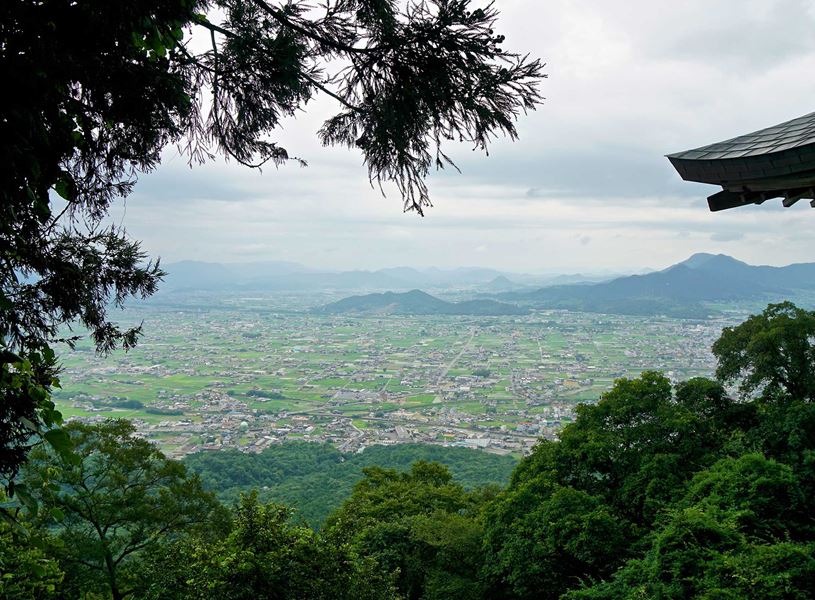Panoramic view of Kotohira rice fields, houses, and mountains framed by trees, Japan