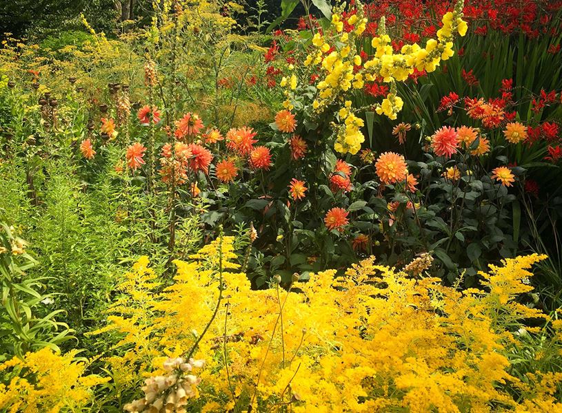 Beautiful Flowers Trees And Plants And Garden Landscaping In Sissinghurst Caslte Gardens, Kent