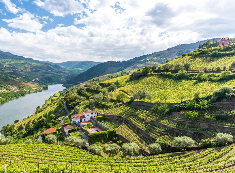 Farm To Table in Douro, Portugal