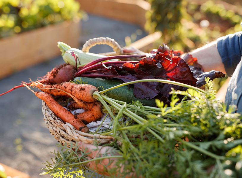 Bread and Butter Farm Lunch and Experience in Shelburne, USA
