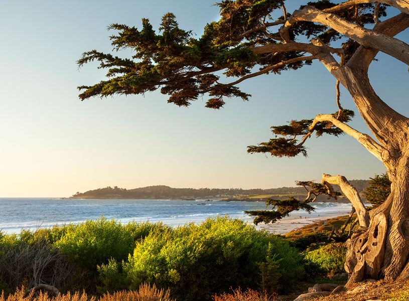 Pacific Ocean coastline in Carmel-by-the-Sea, California, USA