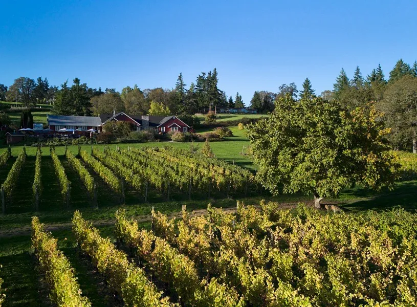 Be My Guest, Terra Vina Vineyard, Wilsonville, Oregon, USA