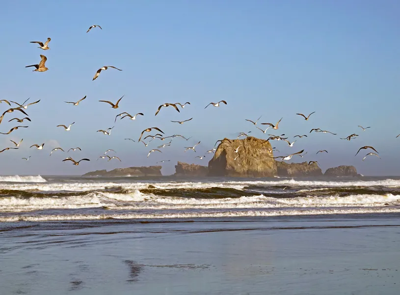 Oregon Pacific Coast, Bandon, Oregon, USA