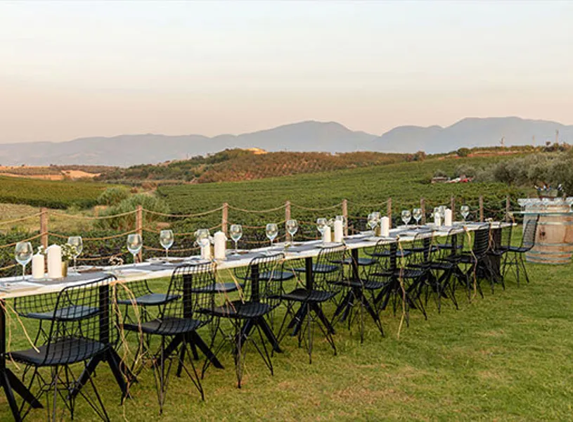 Nif Bagları Farm To Table Lunch in Izmir, Turkey