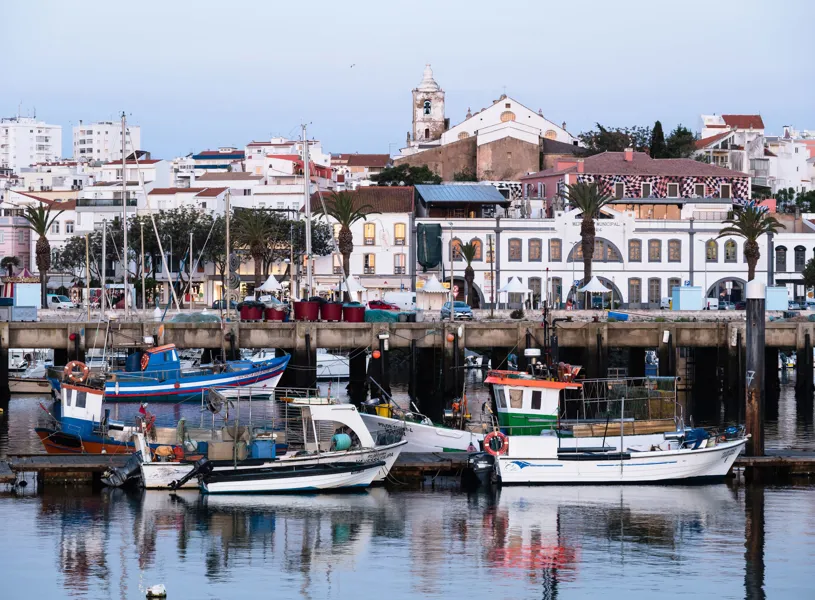 Fishing boats docked in Lagos marina with historic town buildings behind