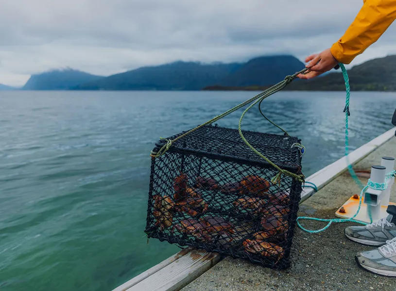 Arctic King Crab Experience, Honnigsvag, Norway