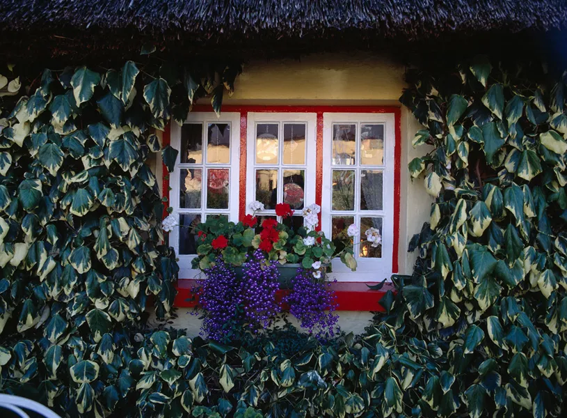 Adare Orientation, Adare, Ireland