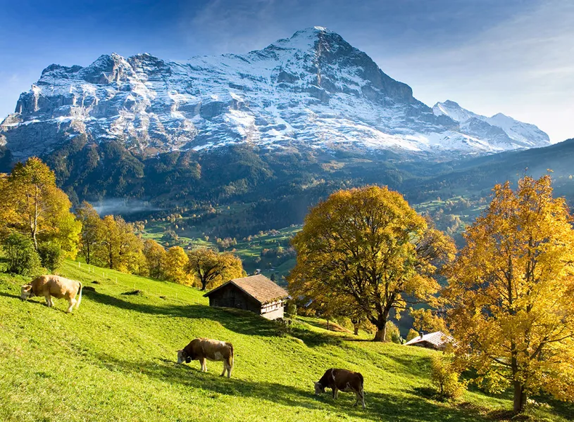 Grindelwald Orientation, Grindelwald, Switzerland