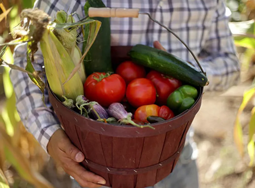 Visit Casa Barone, Pompeii, Italy