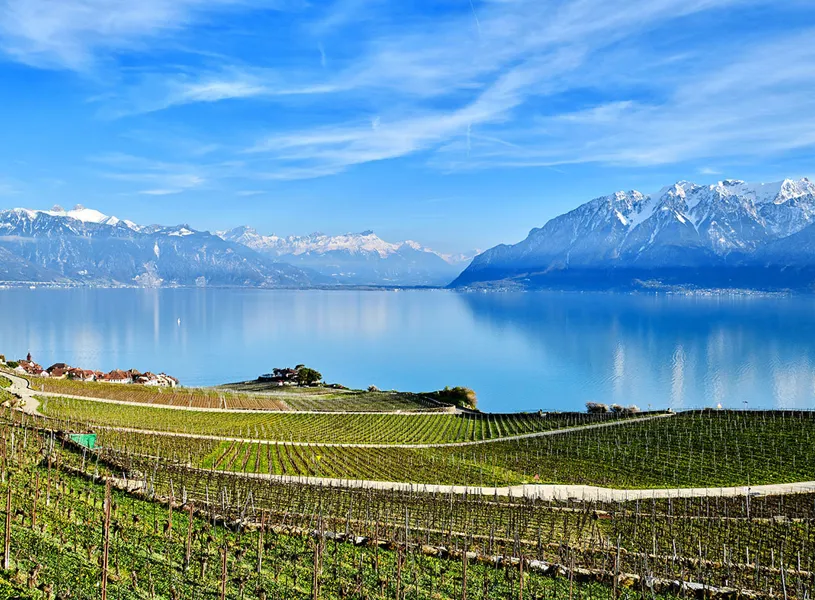Lavaux Vineyards and Lake Geneva, Montreux, Switzerland