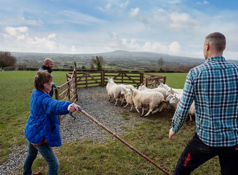 Join fourth-generation shepherd Jamese McCloy a Northern Irish shepherd at Glenshane Country Farm.