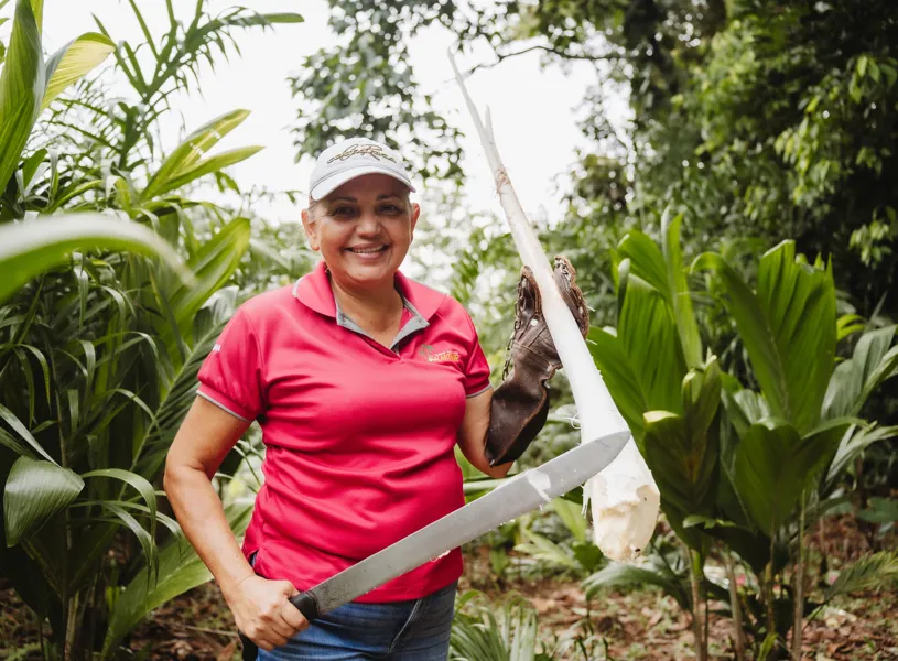 Dona Maria at the Heart of Palm, Tortuguero National Park, Costa Rica, Latin America