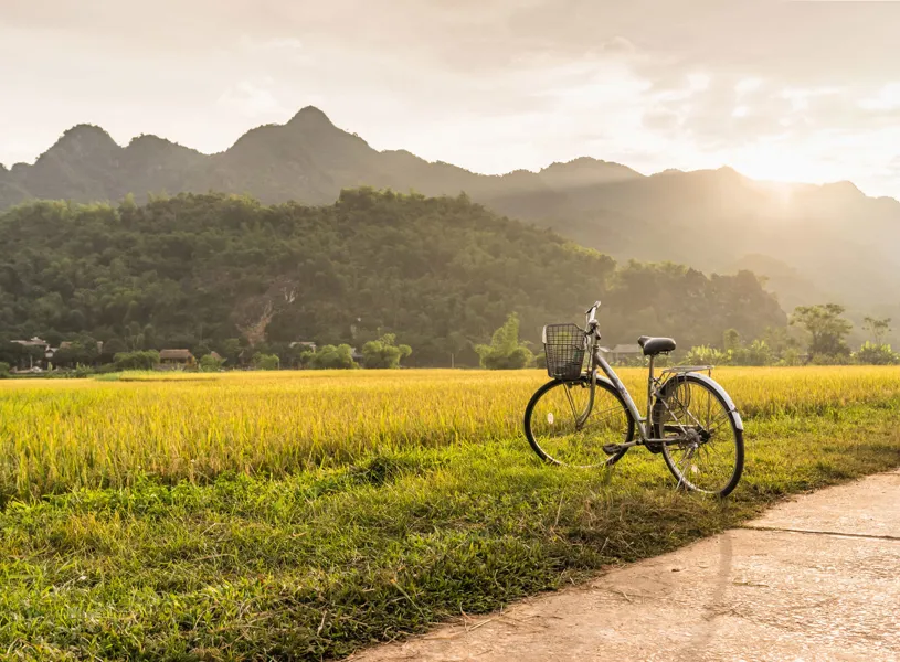 Sunset view of a bike in the field near the road through Tra Nhieu Village, Hoi An, Vietnam