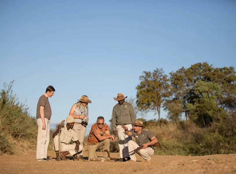 People examining a skeleton in the African Bush, Karongwe Private Reserve, South Africa