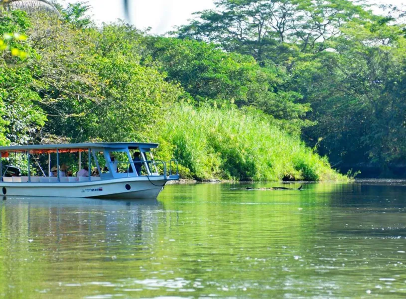 Boat tour, Palo Verde National Park, Guanacaste, Costa Rica
