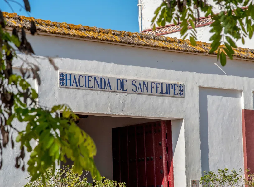 Carrion family’s historic home, Seville, Spain