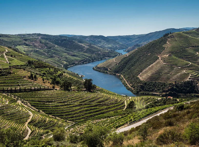 Vineyards in the Douro Valley, Portugal