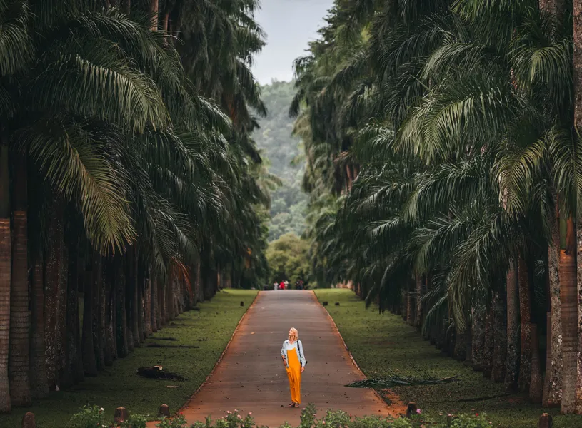 Royal Botanical Gardens In Kandy Sri Lanka 