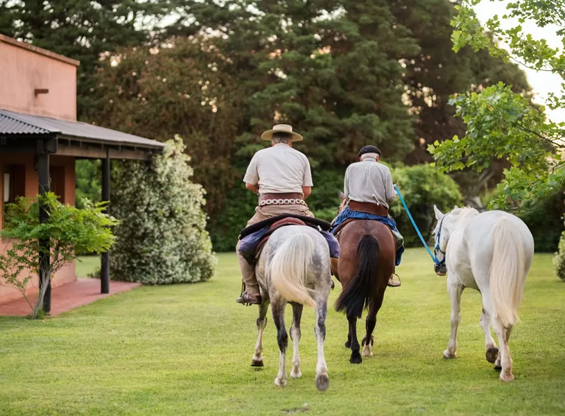 Estanica Lala Bandada 2 Buenos Aires Argentina 
