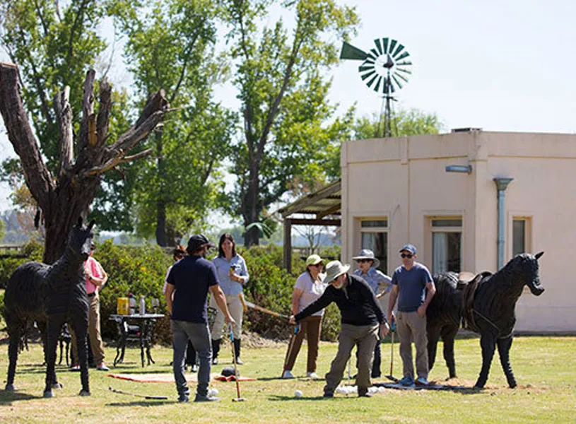 Introduction To Polo Buenos Aires Argentina