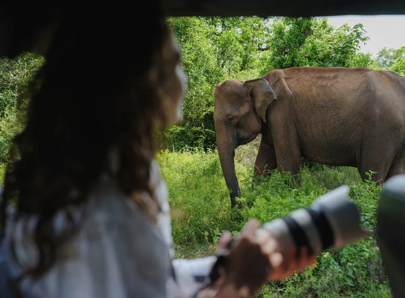 Animal safari in Yala National Park, Yala, Sri Lanka