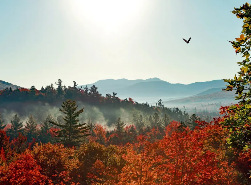 Loon Mountain Gondola, Lincoln, USA