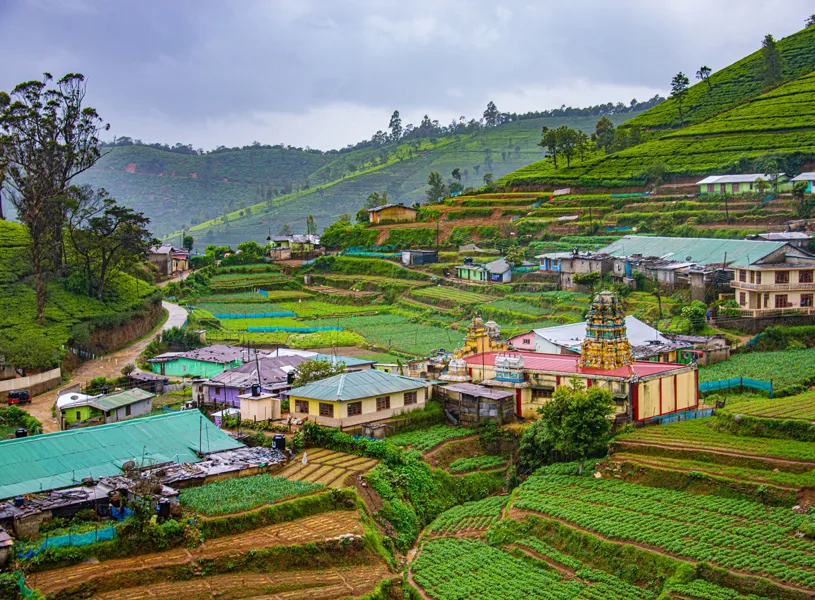 Tea plantations and a small village in the hills of Nuwara Eliya, Sri Lanka