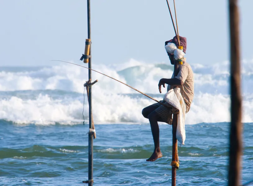 Stilt fisherman in Galle, Sri Lanka