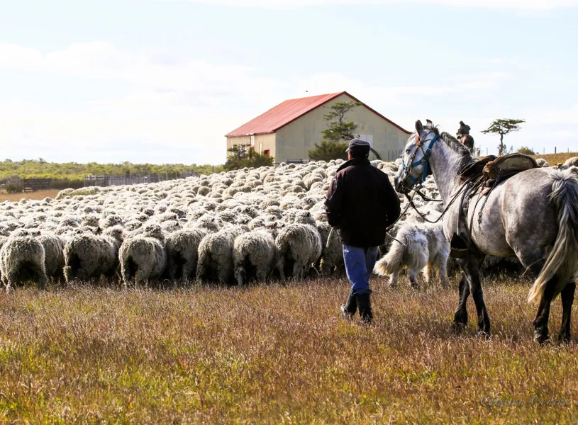 Join Raúl and América at Tierra de Ovejeros Estancia, Chile