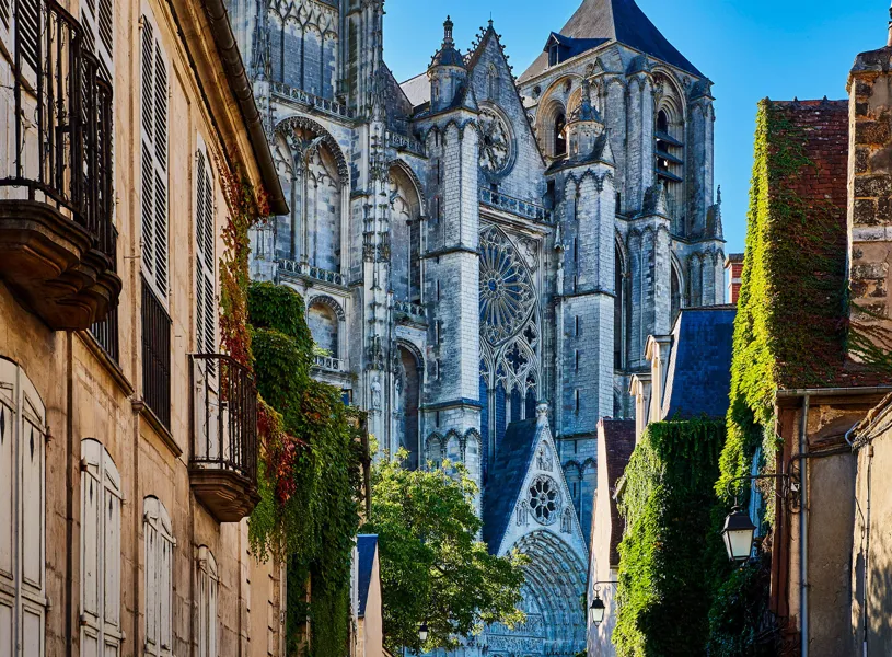Sight of Bourges Cathedral framed by ivy-covered buildings