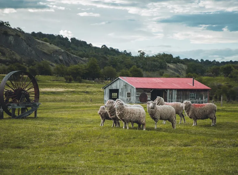 Chile Estancia La Peninsula Puerto Natales IMG 0561