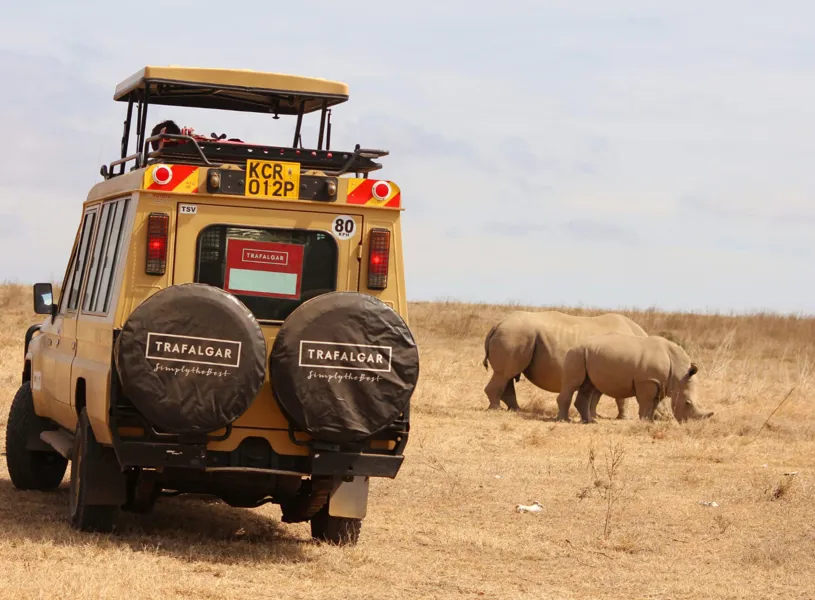 Back of a jeep and rhino grazing nearby, Solio Game Reserve, Kenya