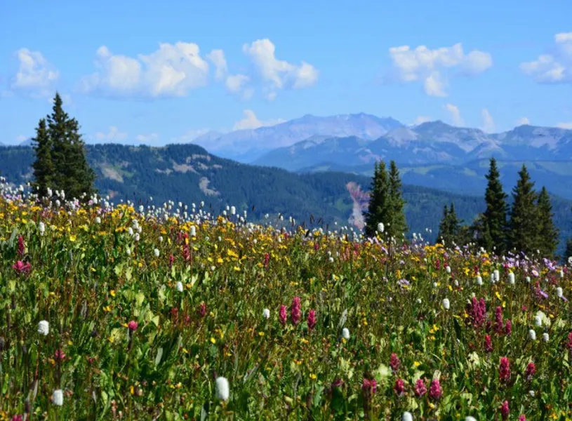 4x4 through the stunning La Plata Range,  Durango, Colorado, USA