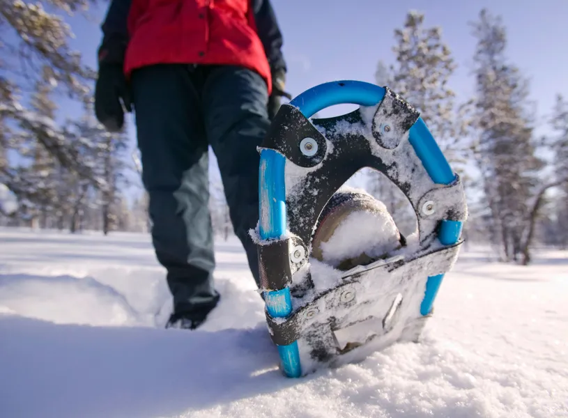 Talkeetna Snowshoe Tour, Talkeetna, Alaska, USA