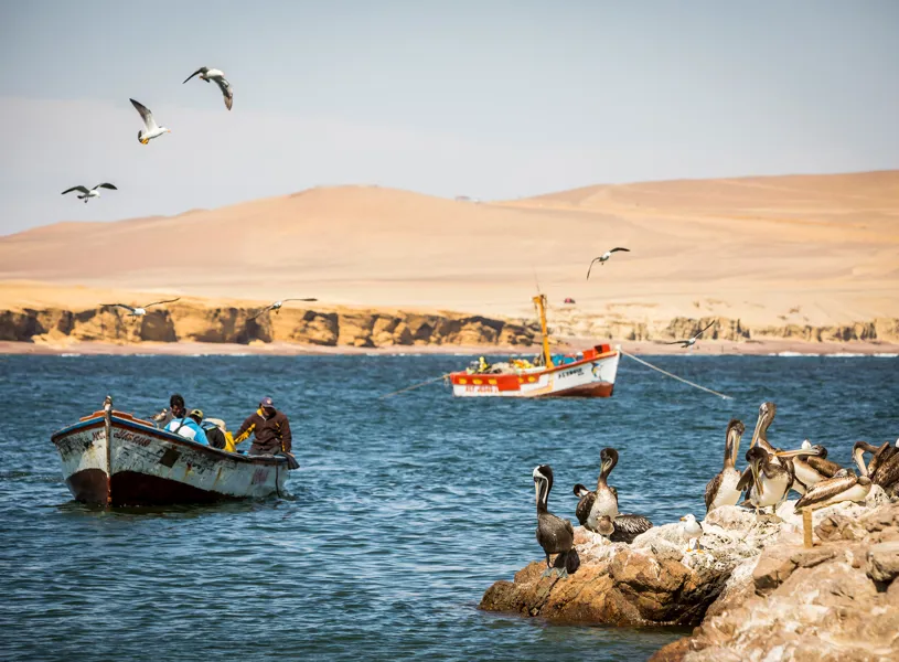 Paracas National Park Peru 