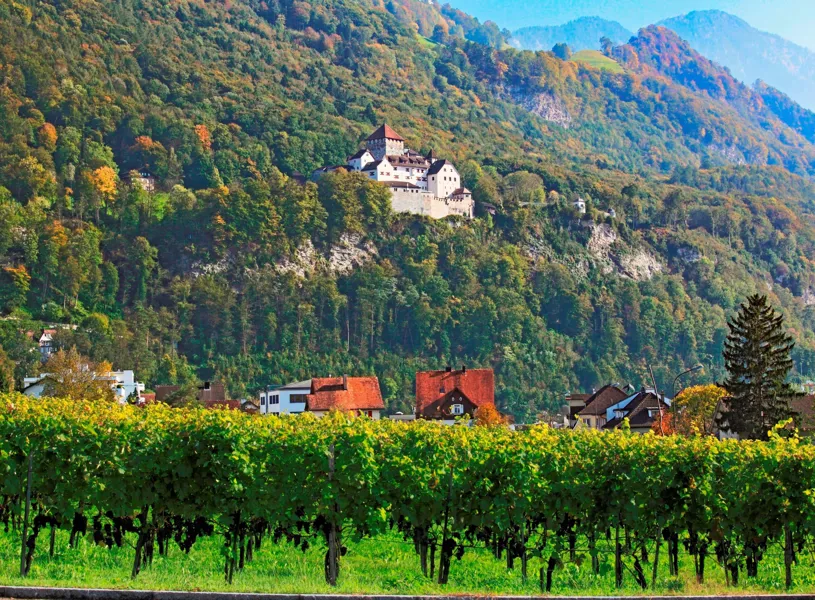 Vaduz Castle perched on forested hillside above vineyards and traditional houses