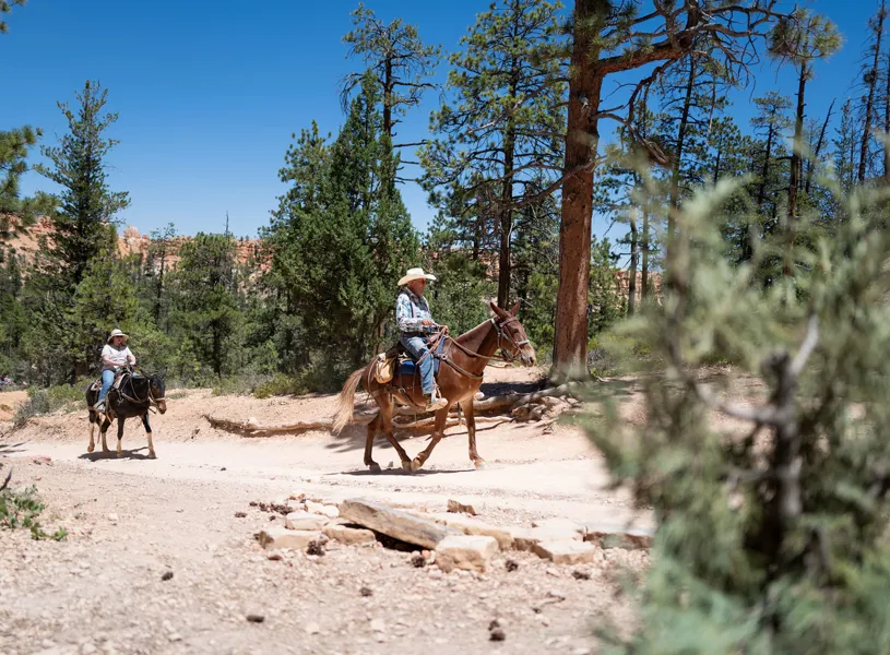 Horseback riding in Bryce Canyon National Park, Utah, USA