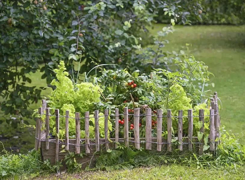 Tour Reserva Cerro Paine Chile 