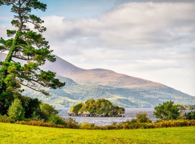 Muckross Park, Killarney National Park, County Kerry, Ireland