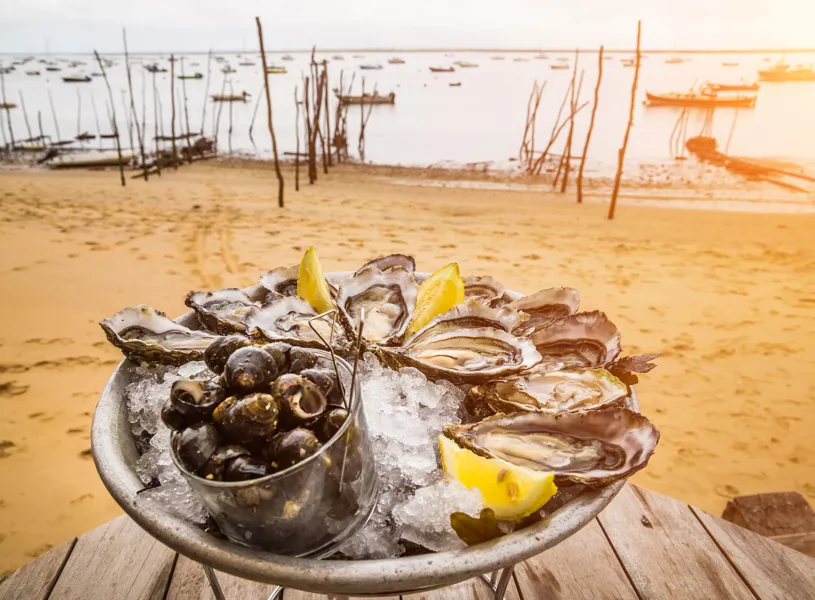 Scenic view of an oyster platter on the beach in Arcachon, France