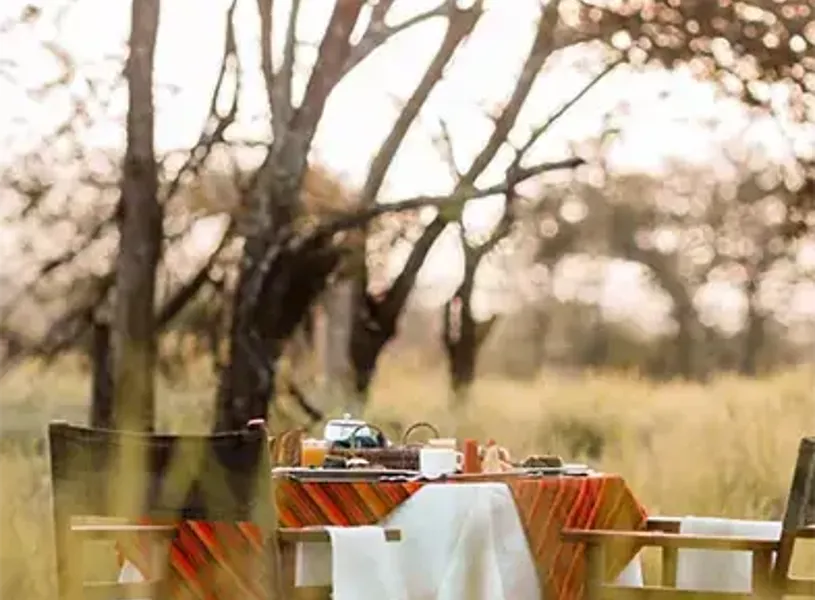 Wellworth Bush Breakfast Tarangirie National Park
