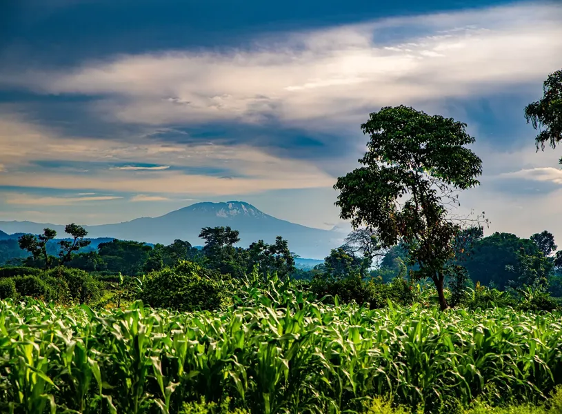 Mount Meru Arusha Tanzania
