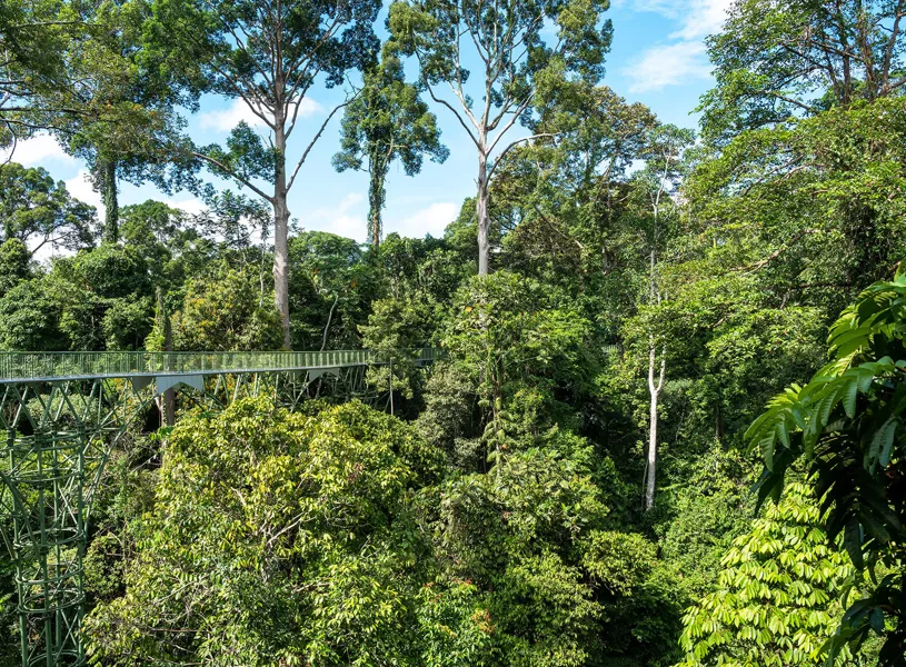 Kabili Rainforest Discovery Centre in Sepilok, Malaysia