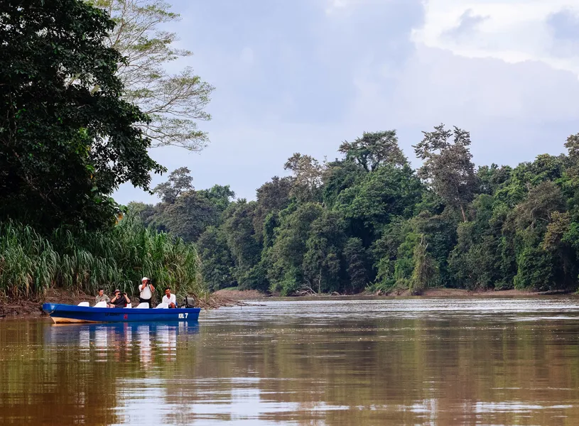 Wildlife Watching, Kinabatangan River, Malaysia