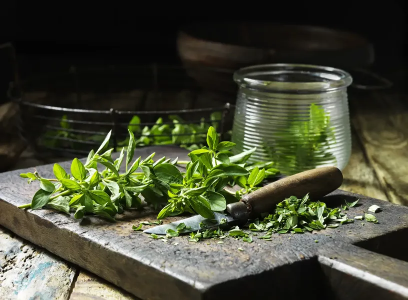 Organic Marjoram Noto Italy 