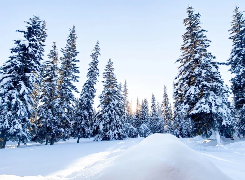 Winters in Fairbanks, Alaska, USA