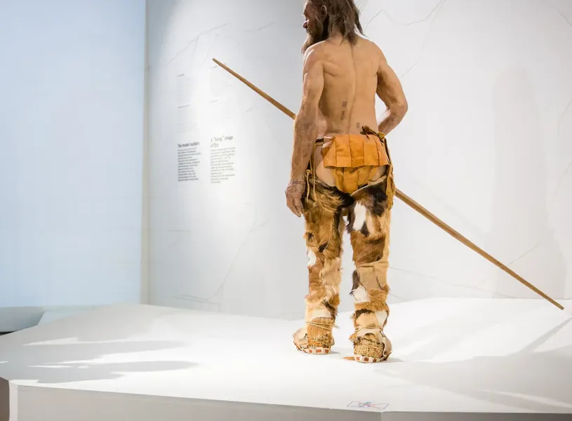 Tyrol Museum Of Archaeology Tyrol Bolzano Italy