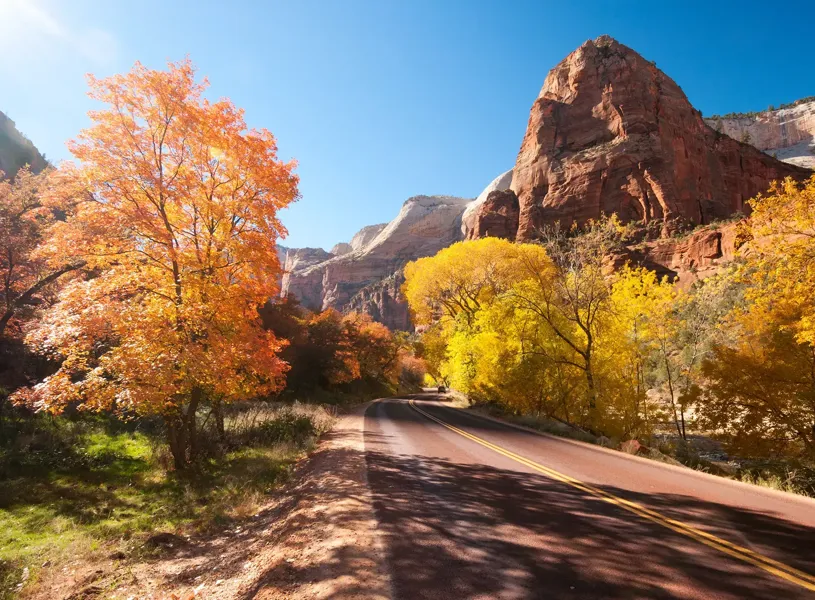 Zion National Park Utah Usa 